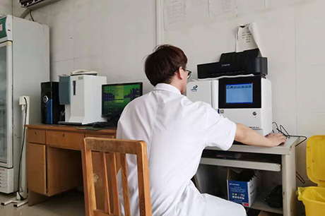 香蕉视频免费在线播放生物介绍缺锌导致儿童发育不良
