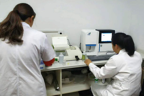 北京新香蕉视频免费在线播放生物介绍补钙对香蕉视频免费在线播放有哪些优势